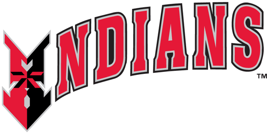 Indianapolis Indians 1998-Pres Wordmark Logo iron on heat transfer